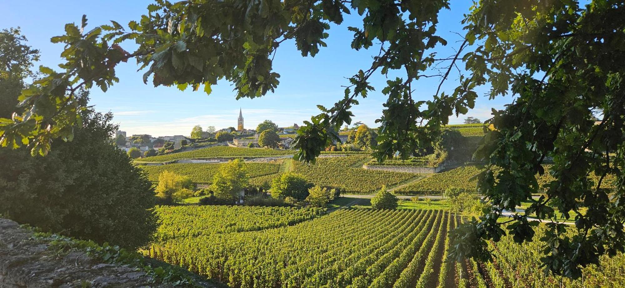 Gite Chateau Touzinat - แซงต์เตมีลียง ภายนอก รูปภาพ